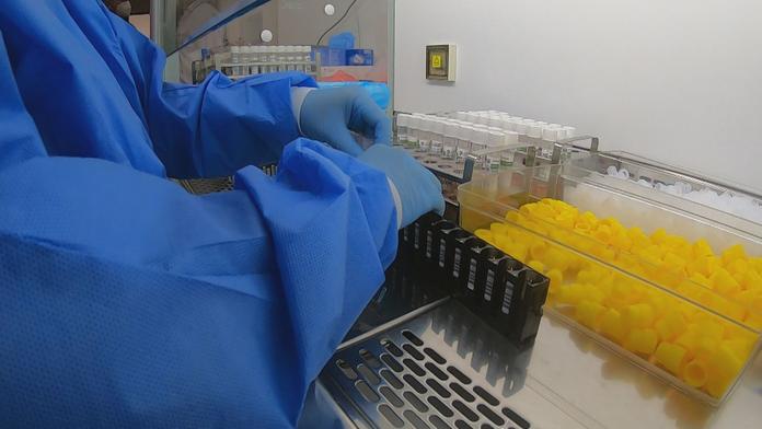 Nová pravidla pro očkované: Někteří budou muset na PCR test