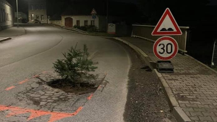 Česká tvořivost: Silničáři nereagují, tak lidé sází do děr stromky a květiny