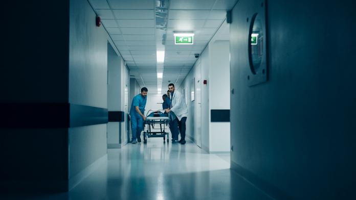 Ženu kousl hmyz. Do hodiny byla mrtvá, nepomohl ani lékař s vrtulníkem