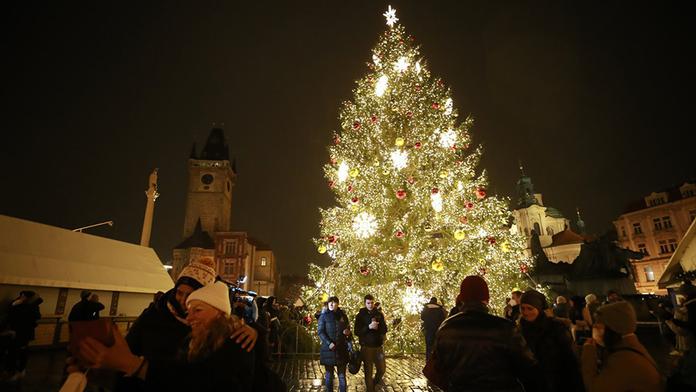Praha už má vybraný vánoční strom. Náměstí ozdobí koncem listopadu