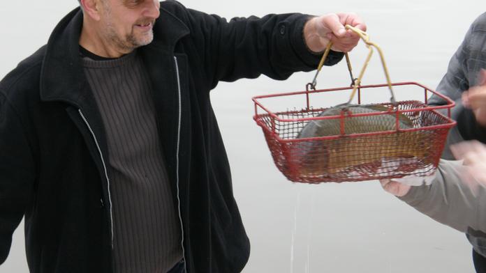 Kapra v Děčíně utopili v koši jako Jana Nepomuckého