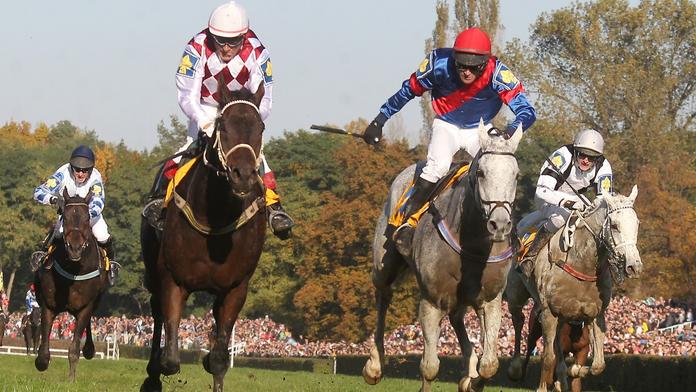 Dostihový svět truchlí. Odešel legendární Amant Gris, hrdina i smolař Velké pardubické