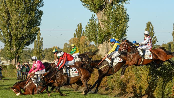 Velkou pardubickou opanoval Theophilos, obhájce spadl na Taxisu