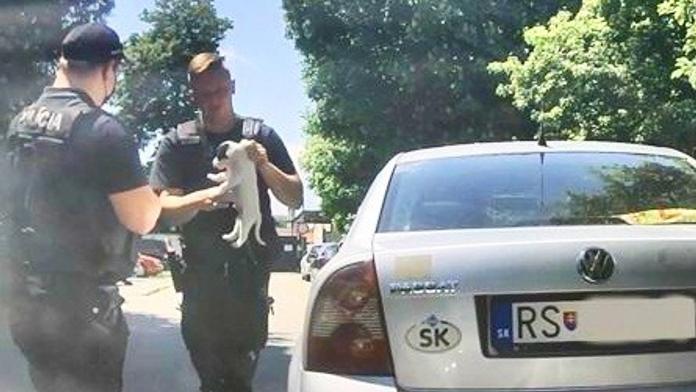 V rozpáleném autě ležel malátný pes. Policie musela při záchraně rozbít okno
