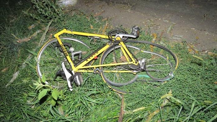 Cyklistům šlo při večerní vyjížďce o život! Zřítil se na ně strom