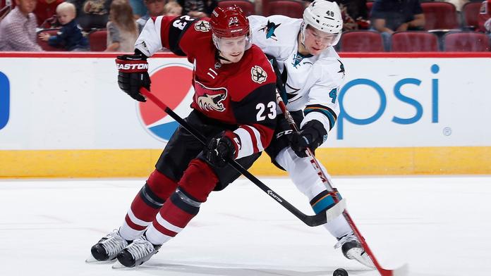 Český večer v NHL: Gól si připsali čtyři Češi!