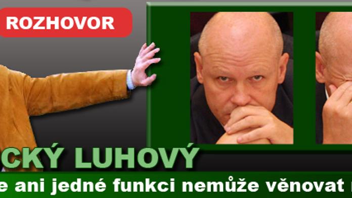 Expert Luhový: Hašek se ani jedné funkci nemůže věnovat naplno