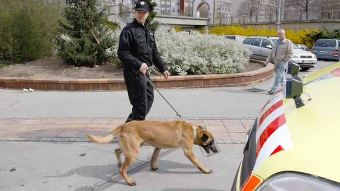 Policie od pátku pátrá po nesvéprávné osobě