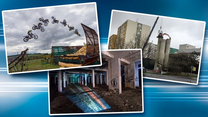 Nejlepší fotky roku 2017: Tygřata, nahá výstava i salto na motorce