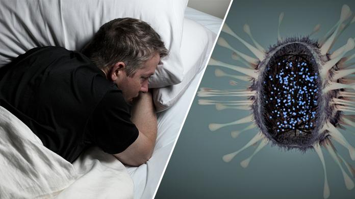 Jsme na pokraji smrtící epidemie, varují zdravotníci! Šíří se mor