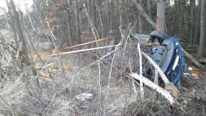 Auto vyletělo z dálnice do lesa. Řidič i tři děti zázrakem přežili