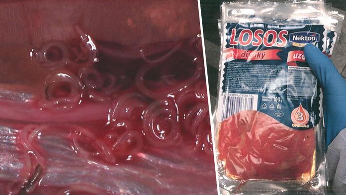 Supermarket prodával lososa s červem, který útočí na orgány!