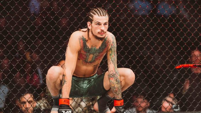 Revoluční tréninky v MMA! Pomůžou opičí dráhy k lepším výkonům?