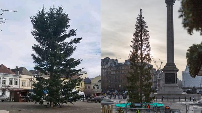 Ještě horší než Bruntál? V Londýně jsou zděšení z děravého stromku