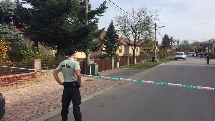 Útok sekerou! Zdrogovaný mladík zabil ženu, další dva muže zranil