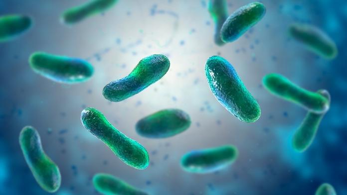 V Německu se šíří vzácná horečka. O nemoci se hovoří jako o biologické zbrani