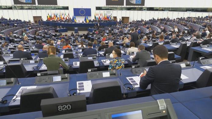 Obří platy, s prací je to horší. Jak často chybí čeští europoslanci u hlasování