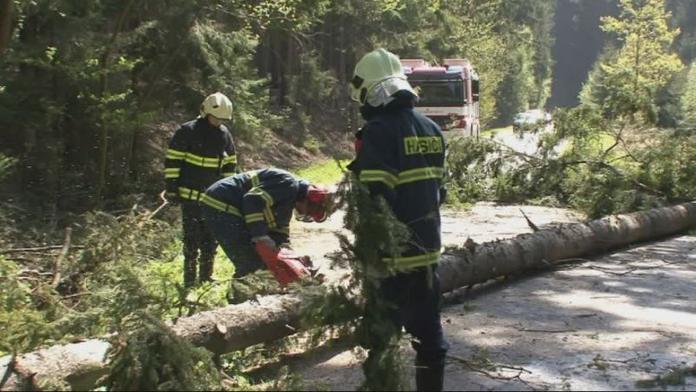 Na dodávku spadla větev. Řidič je těžce zraněný