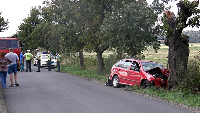 Opilec ZDEMOLOVAL půjčené auto! Narazil s ním DO STROMU!