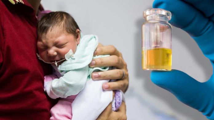 Virus zika už není celosvětovou hrozbou. WHO zrušila stav nouze