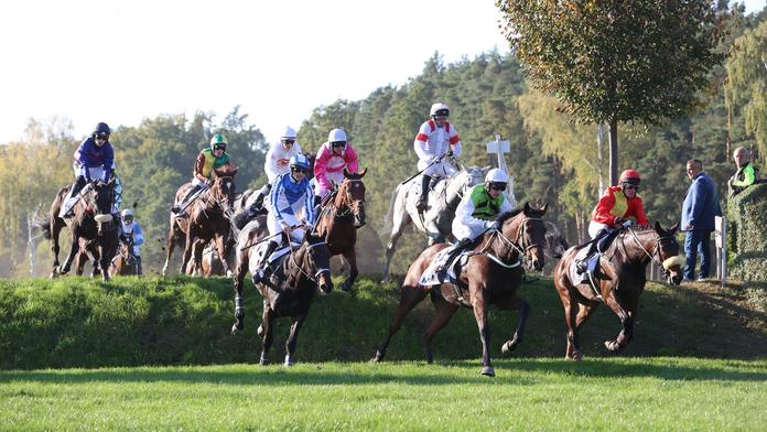 Velkou pardubickou poznamenala spousta pádů. Překvapivě zvítězil Talent