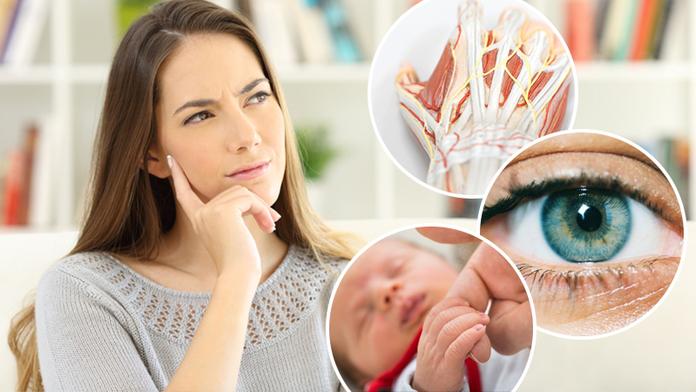 7 orgánů, o kterých jste netušili, že je máte! Co nám zbylo po opicích
