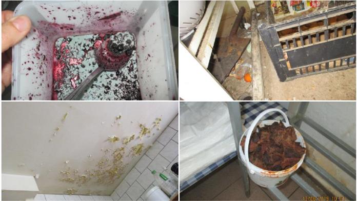 Špína, trus a plíseň! Tyto stánky a restaurace neprošly kontrolou