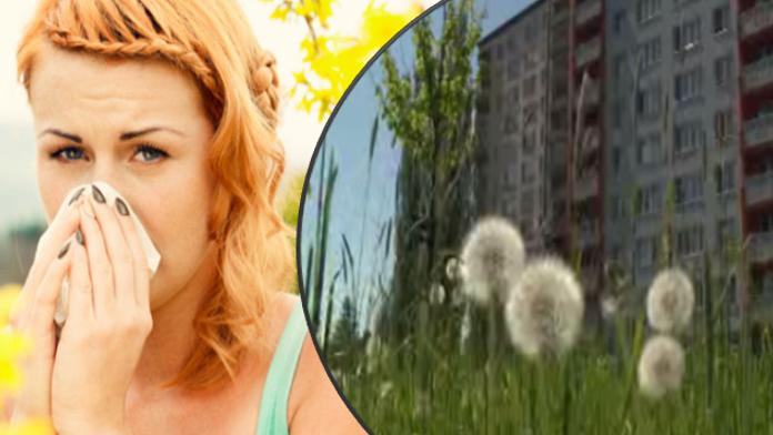 Lidé v Praze se dusí! Alergici mají velký problém kvůli sekání