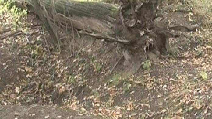 V ostravském lesíku našli mrtvolu mladé dívky