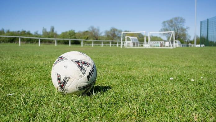 Zvíře útočilo na fotbalisty. Fotbalový zápas v Brazílii se musel dvakrát přerušit