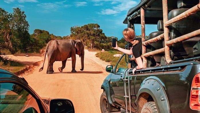 Safari během dovolené na Zanzibaru: Probuďte v sobě dobrodruha!