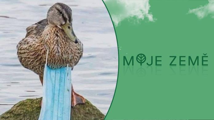 Lidé stříhají na rouškách poutko, než je vyhodí! Pomáhá to přírodě