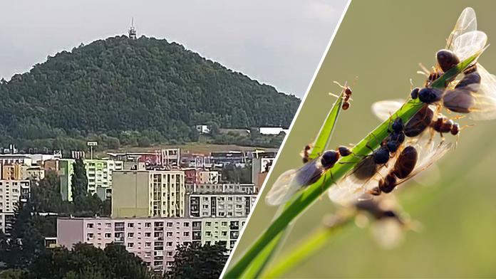 "Hoří!" báli se občané. Když přijeli hasiči, zjistili něco šokujícího