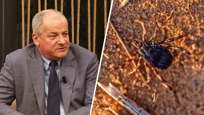 Roman Prymula a klíště rodu Hyalomma