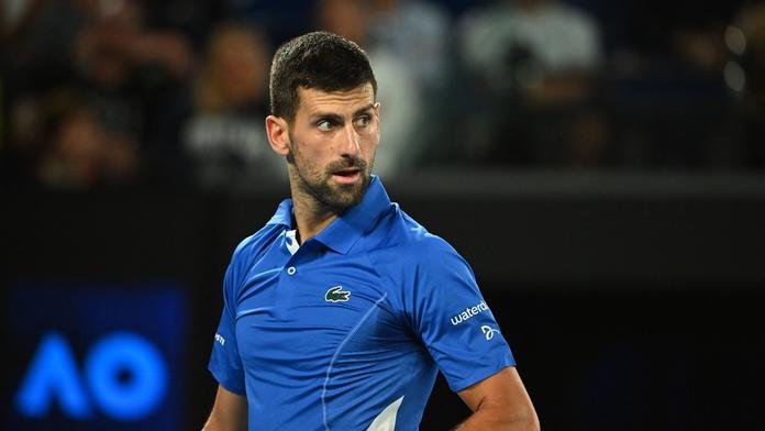 Je to vůbec Djokovič? Sporná podobizna tenisty je hitem internetu