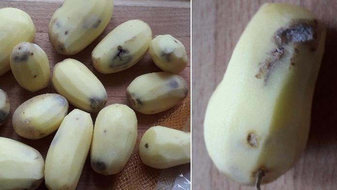 Koupila balení brambor, všechny byly načernalé! Kontrolou prý prošly
