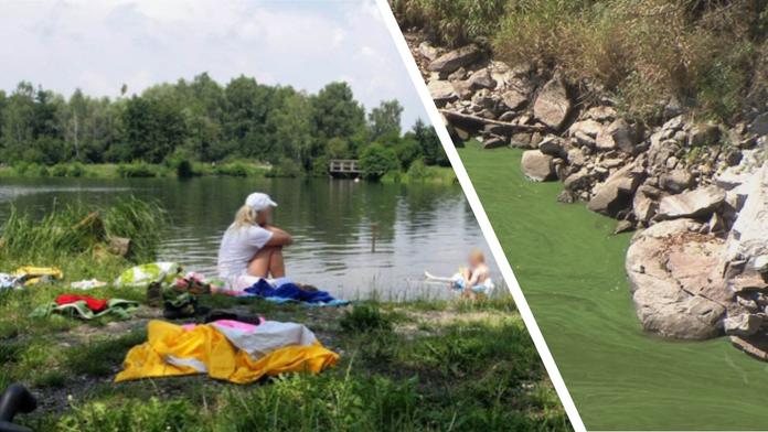 Pozor na sinice! Zde se rozhodně nekoupejte. PŘEHLED