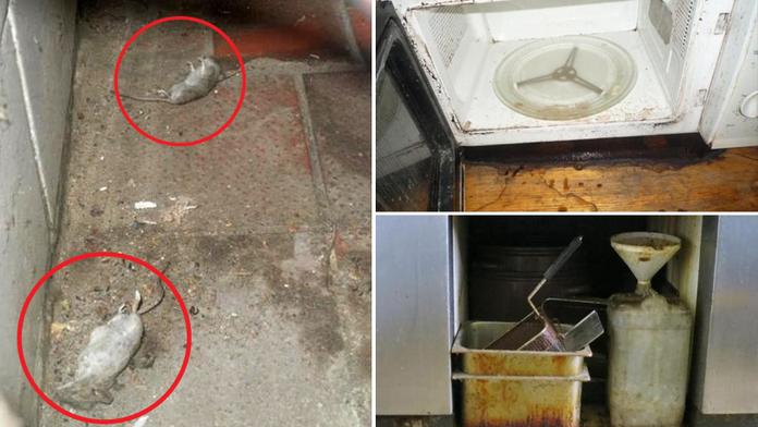 Galerie HNUSU: Inspekce musela zavřít tyhle nechutné hospody!