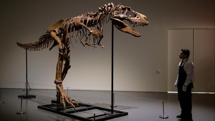 Unikátní kostra dinosaura je na prodej za miliony dolarů