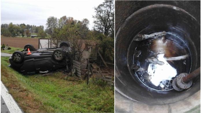 To tu ještě nebylo! Auto se převrátilo a srazilo krávu do jímky