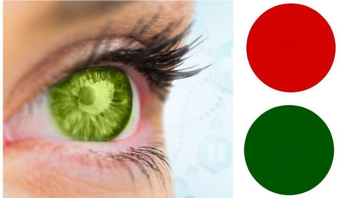 VELKÝ TEST ZRAKU: Vyzkoušejte si, kolik skrytých obrázků najdete