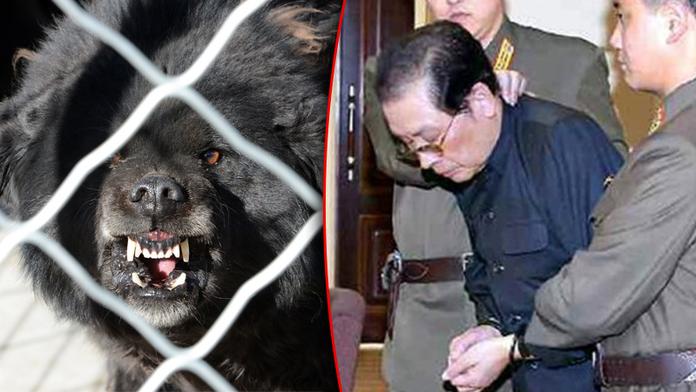 HOROROVÁ POPRAVA: Kim předhodil nahého strýčka hladovým psům!