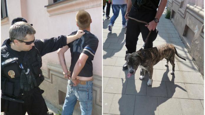 Bezdomovci v Přerově chtěli SNÍST PSA! Strážníci jim v tom na poslední chvíli zabránili