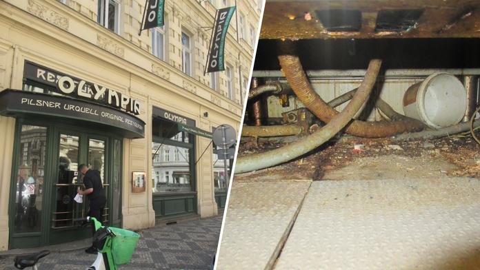 Plíseň, špína a myší trus. Inspekce zavřela populární pražskou restauraci