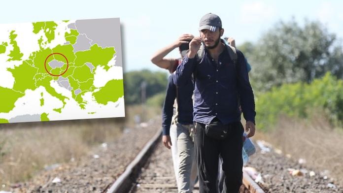 Web radí uprchlíkům: "Šedivému" Česku se raději vyhněte!