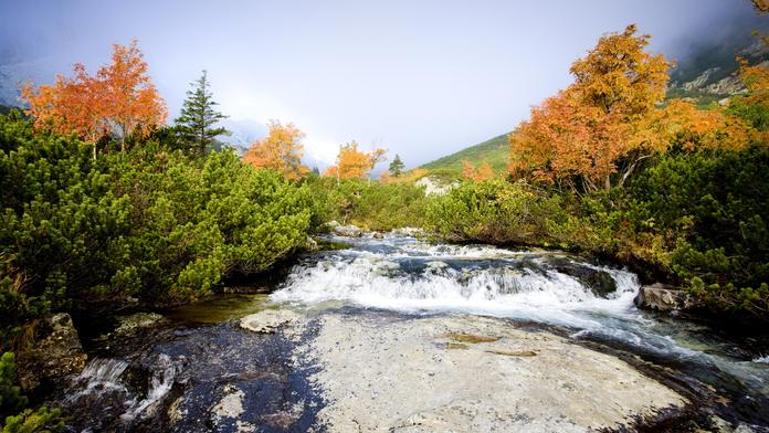 Slovensko řeší skandál. Poslankyně se vykoupala, kde neměla