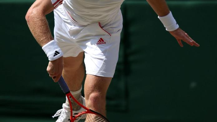 BLOG k losu Wimbledonu: Reprízu finále Murray - Federer neuvidíme