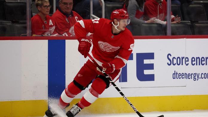 Kubalík si v NHL vyzkouší třetí angažmá. Nově bude hrát v kanadském týmu