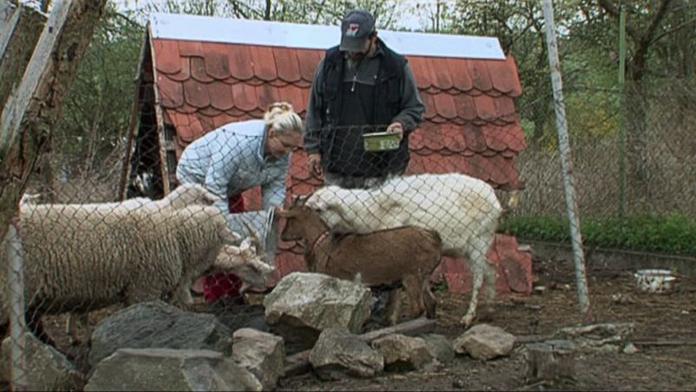 Výměna manželek: Dítě v 15 letech a trauma ze zvířecí farmy
