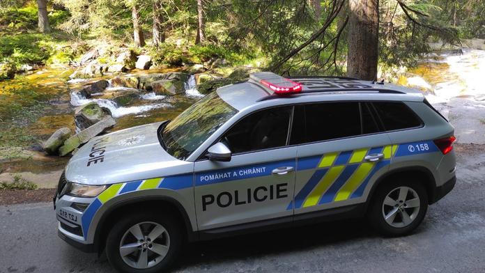 Policie ČR